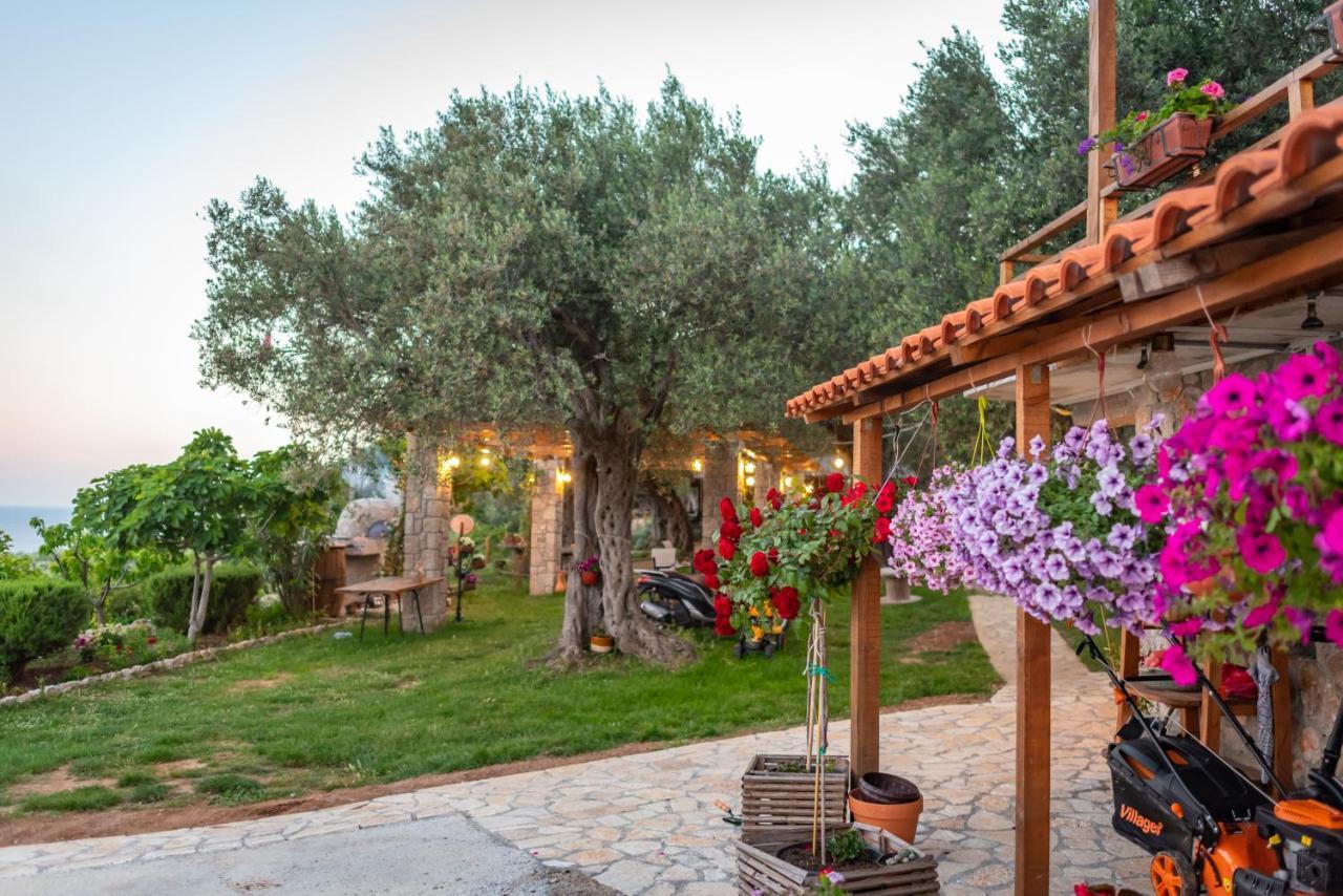 Holiday Park Olive Tree อุลซิน ภายนอก รูปภาพ