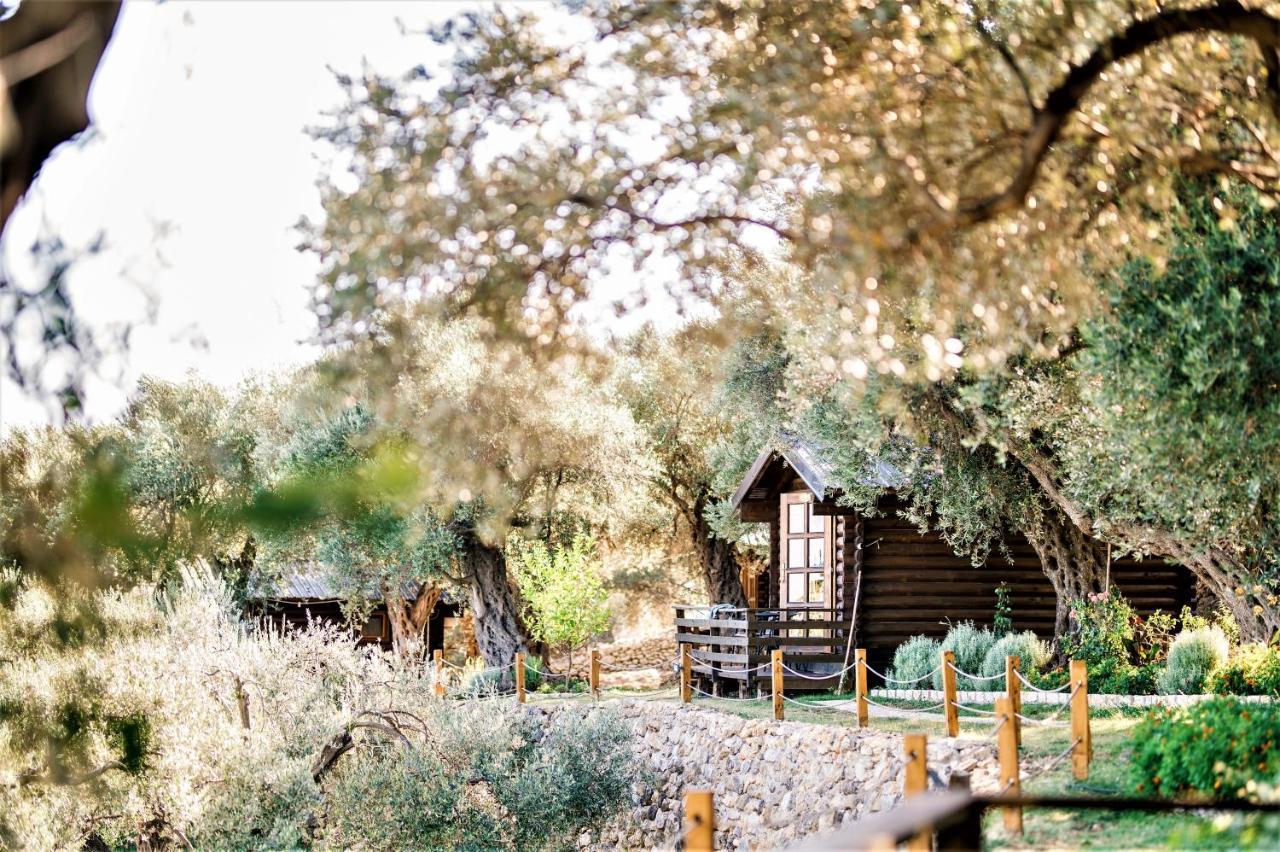 Holiday Park Olive Tree อุลซิน ภายนอก รูปภาพ