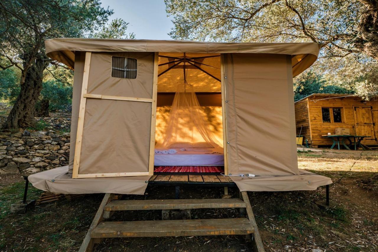 Holiday Park Olive Tree อุลซิน ภายนอก รูปภาพ