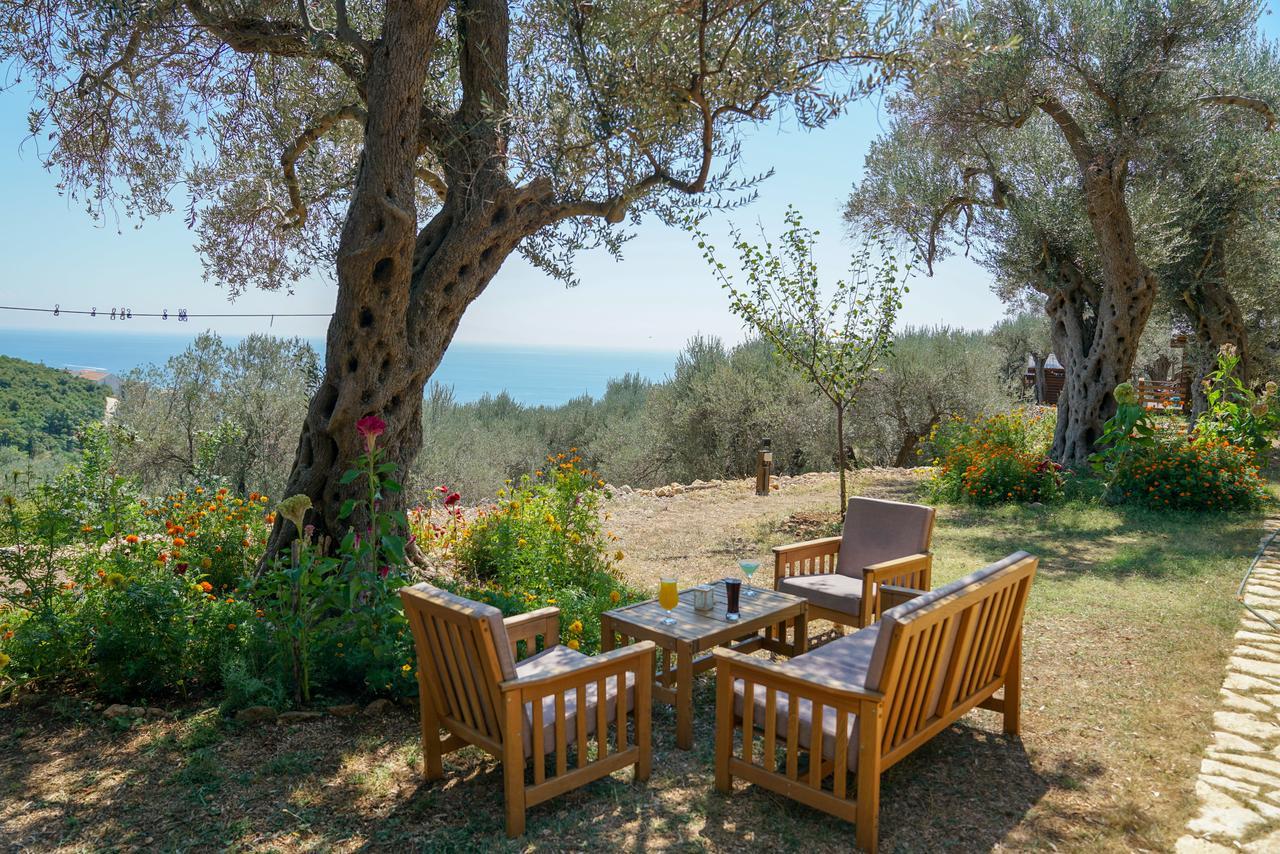 Holiday Park Olive Tree อุลซิน ภายนอก รูปภาพ